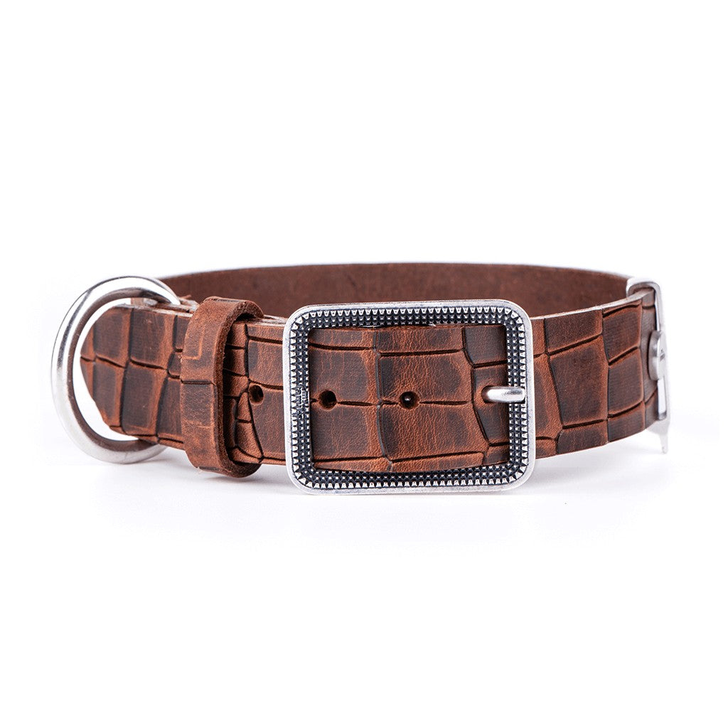 My Family Tucson Leather Collar