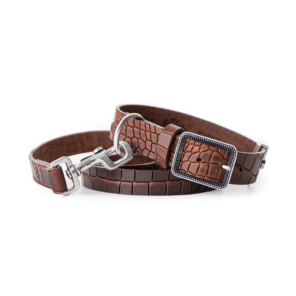 My Family Tucson Leather Collar