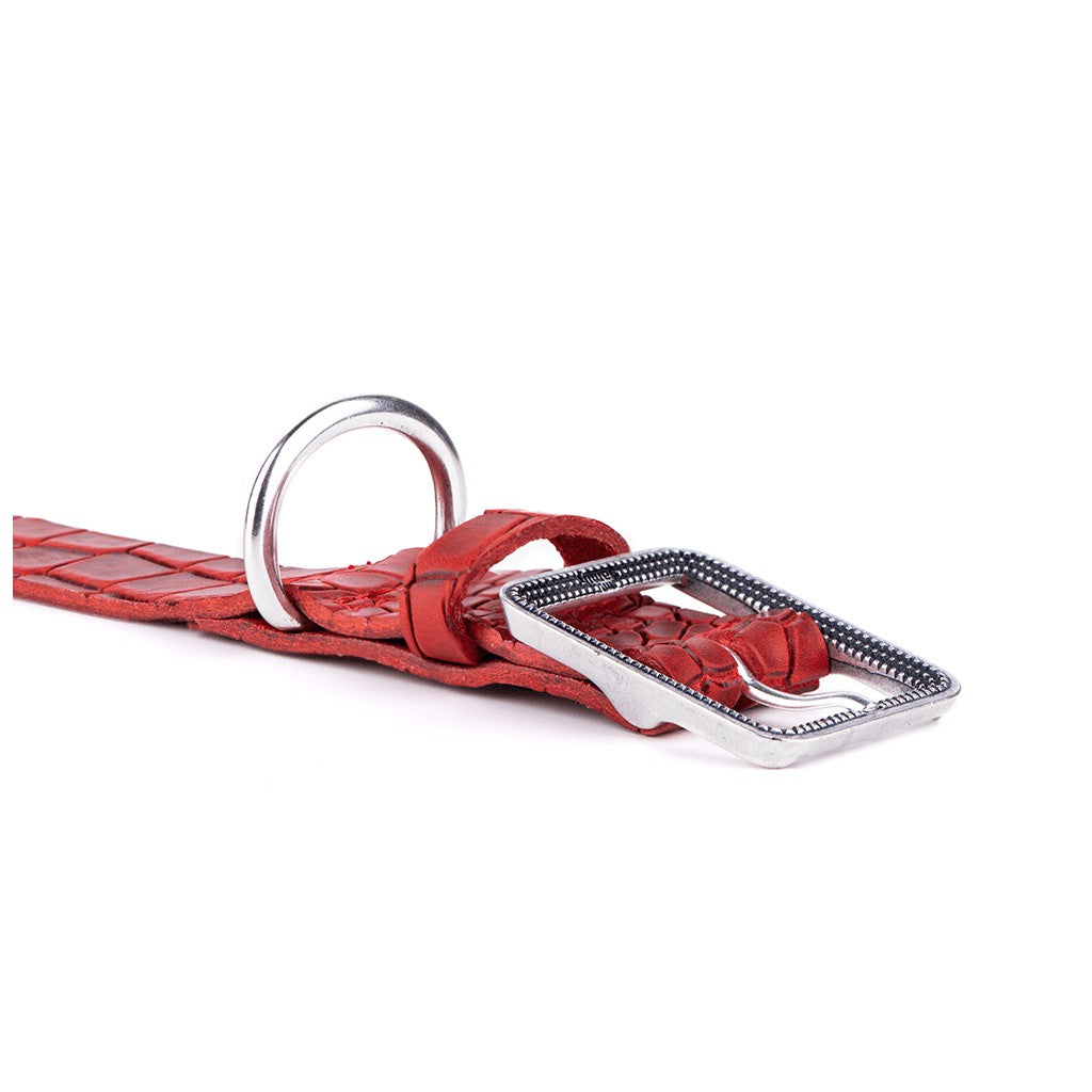 My Family Tucson Leather Collar