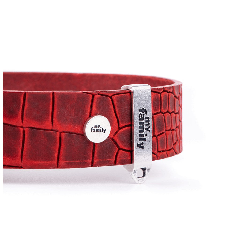 My Family Tucson Leather Collar