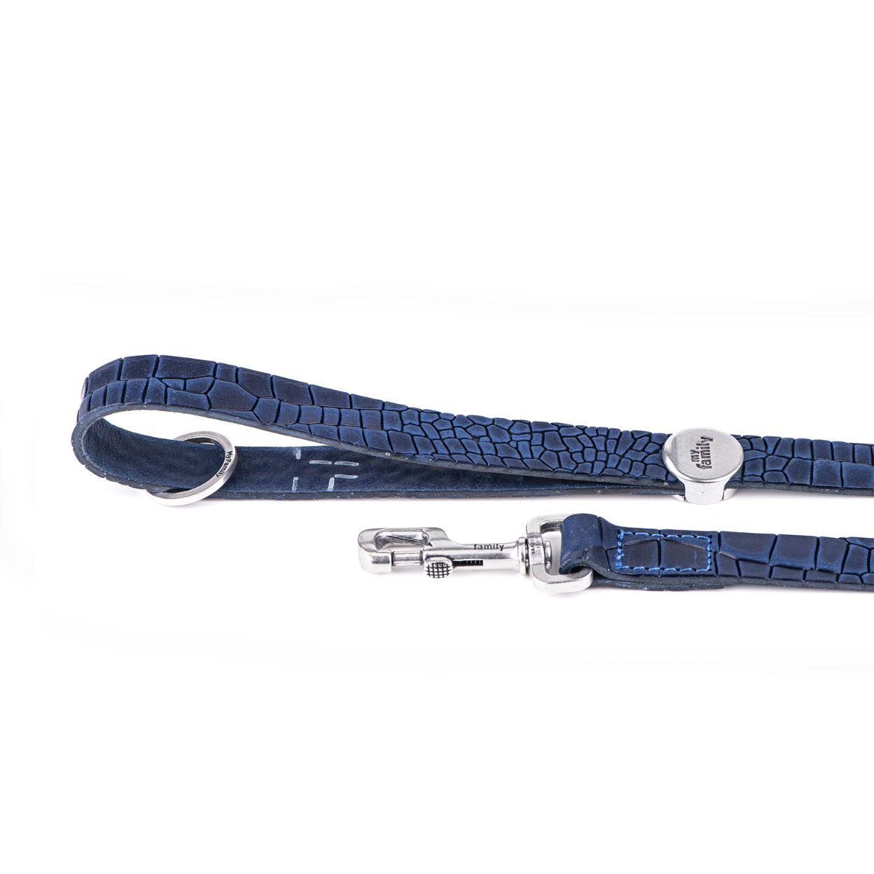 My Family Tucson Leather Leash