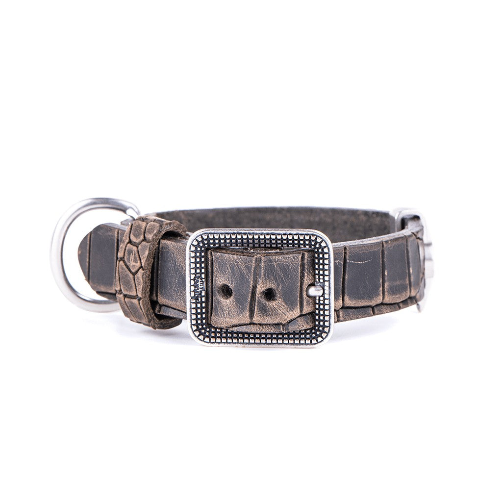 My Family Tucson Leather Collar