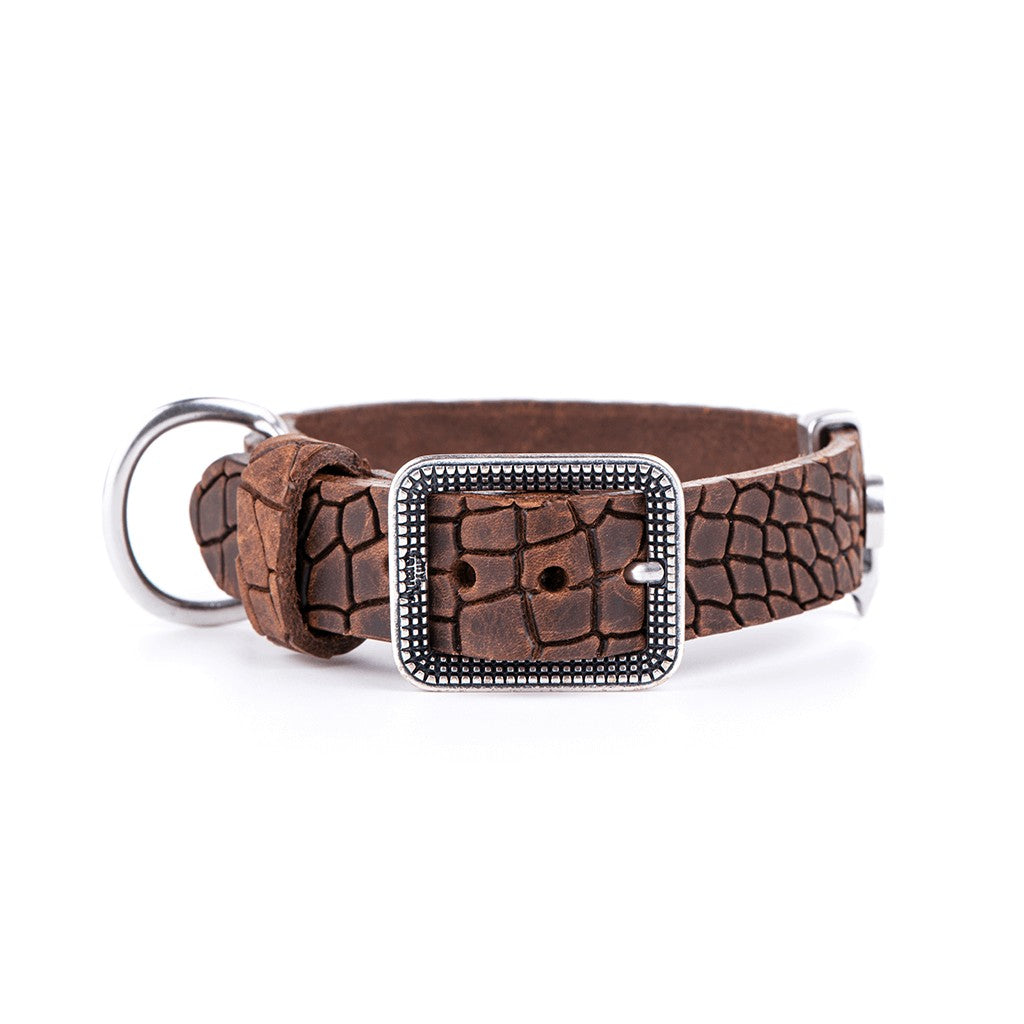 My Family Tucson Leather Collar