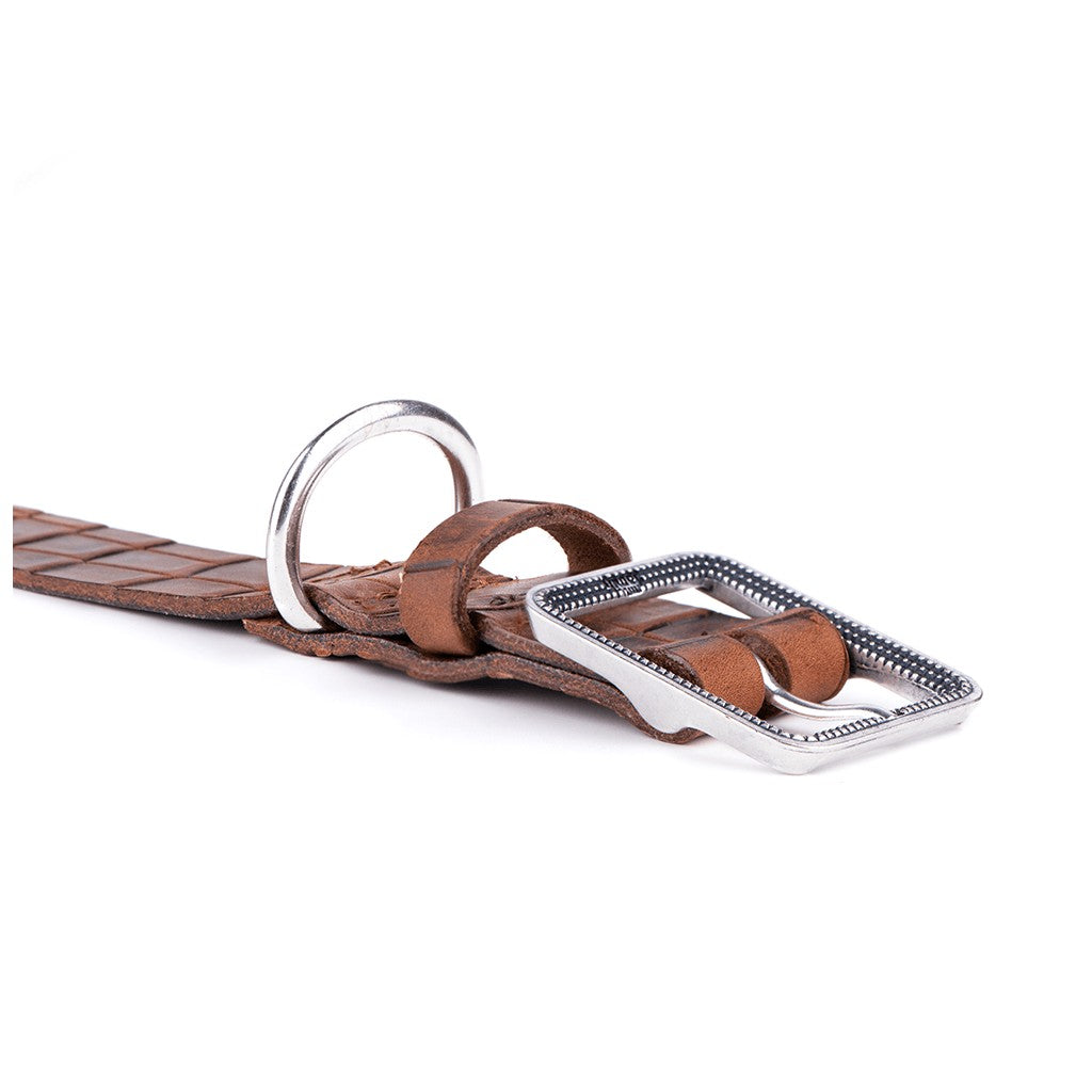 My Family Tucson Leather Collar