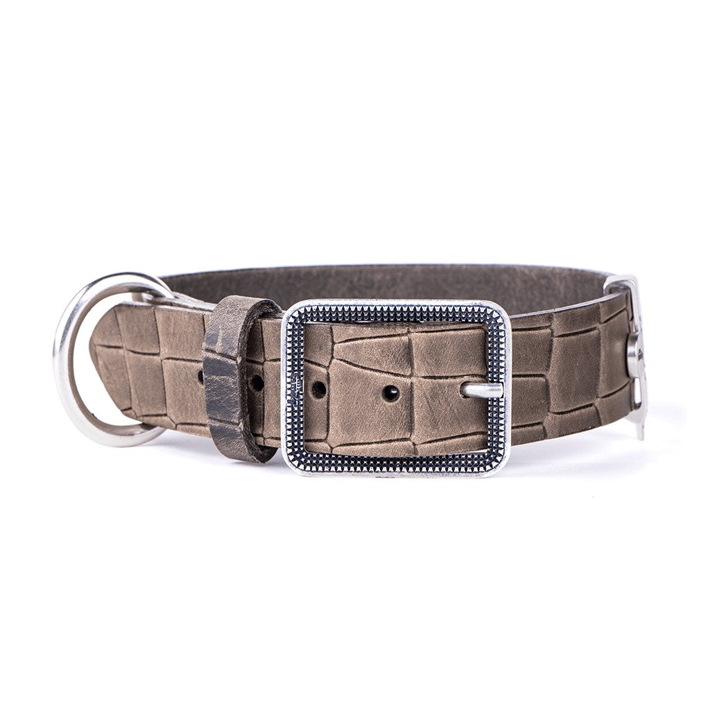 My Family Tucson Leather Collar