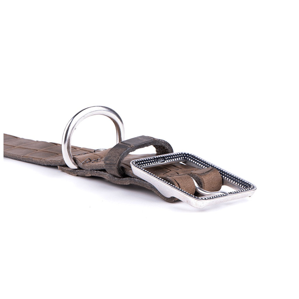 My Family Tucson Leather Collar