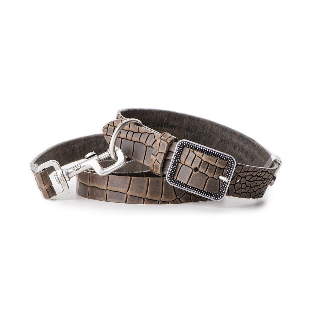 My Family Tucson Leather Collar