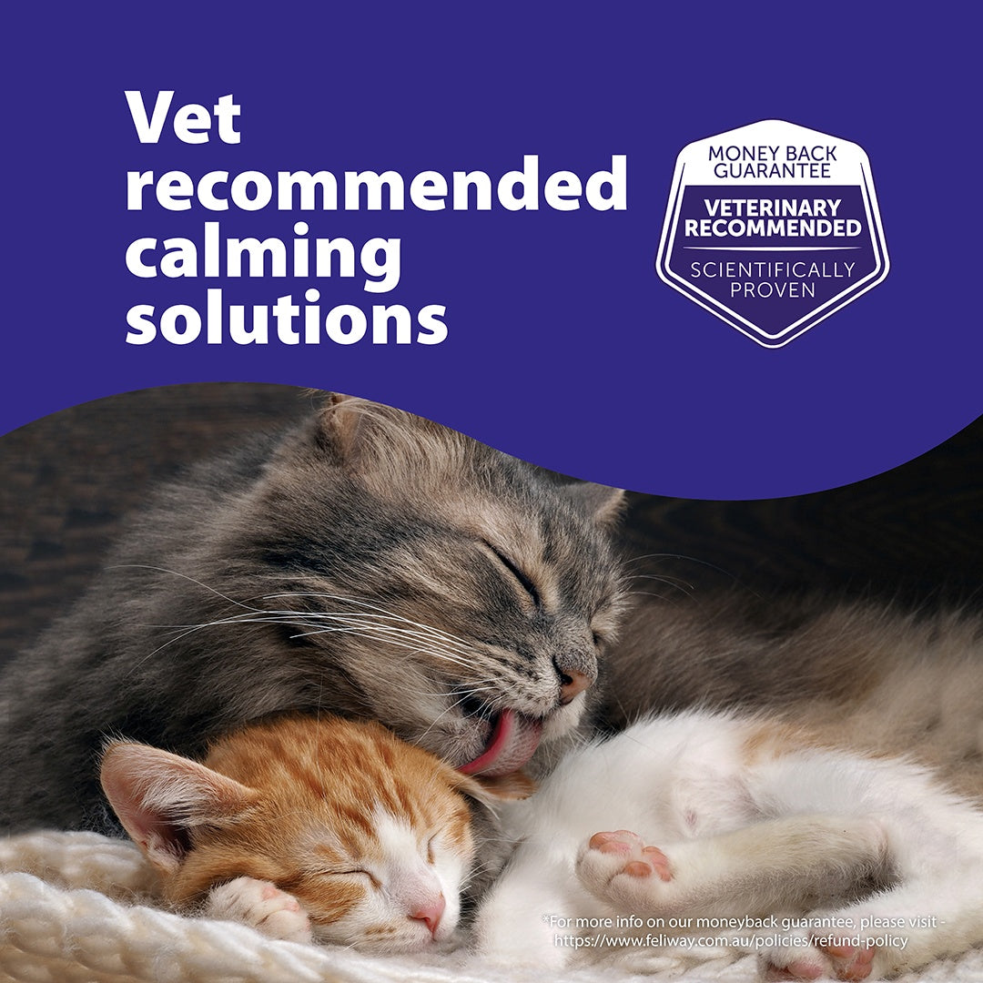 Feliway Friends Refill
