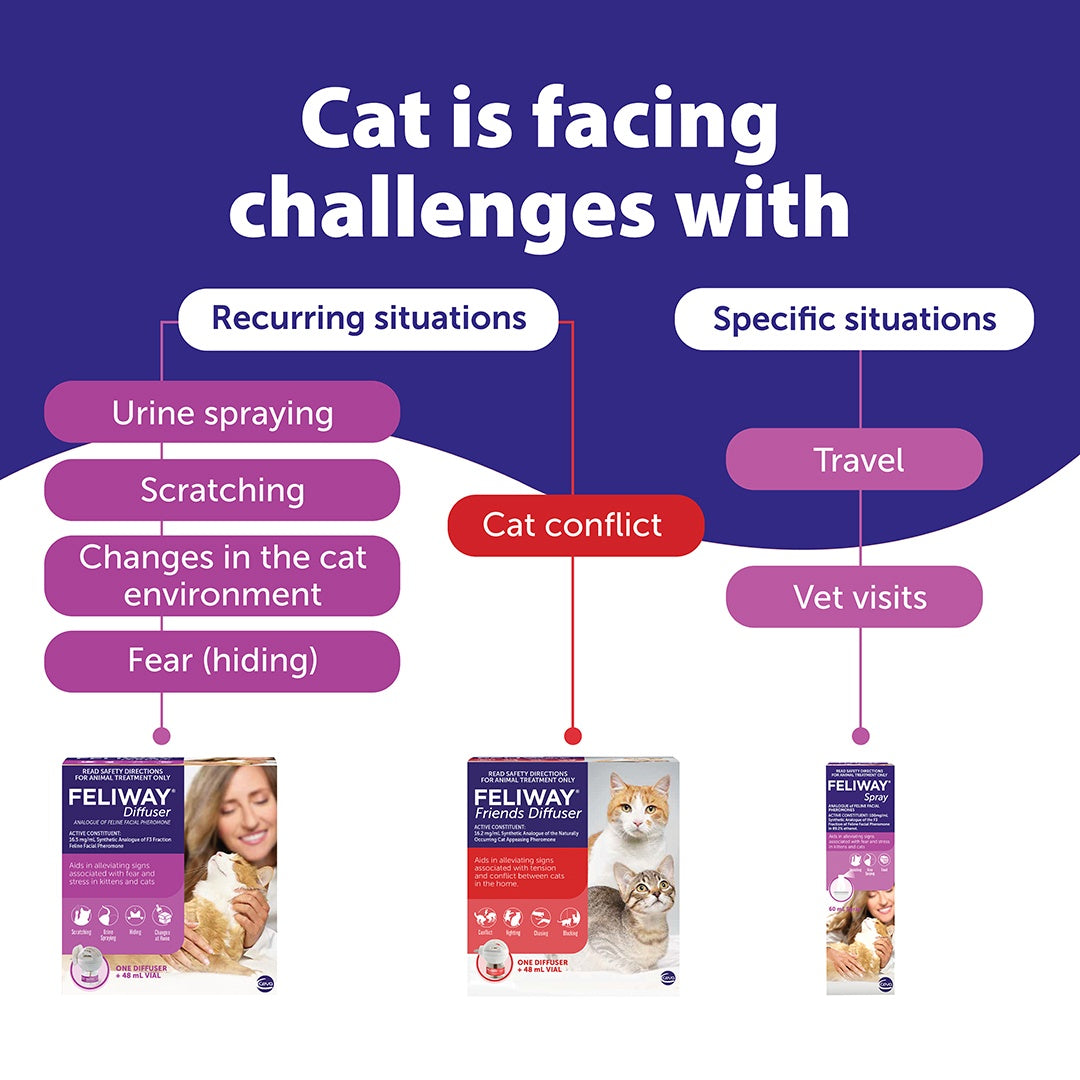 Feliway Friends Refill