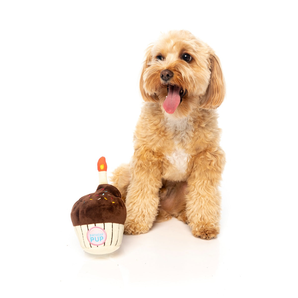 FuzzYard Birthday Cake Dog Toy