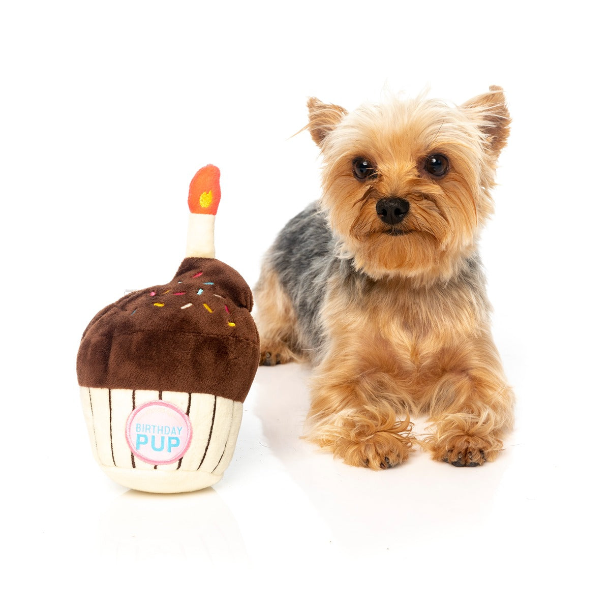 FuzzYard Birthday Cake Dog Toy