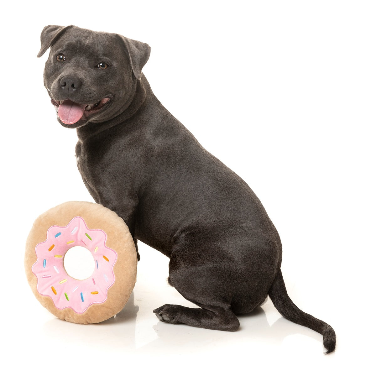 FuzzYard Giant Donut Dog Toy