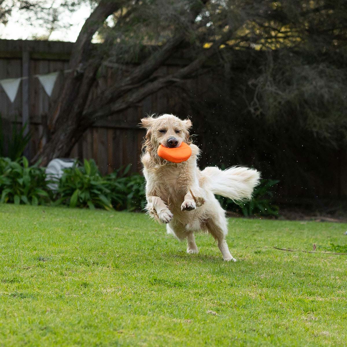 Lexi & Me Fruit Water Toy Orange