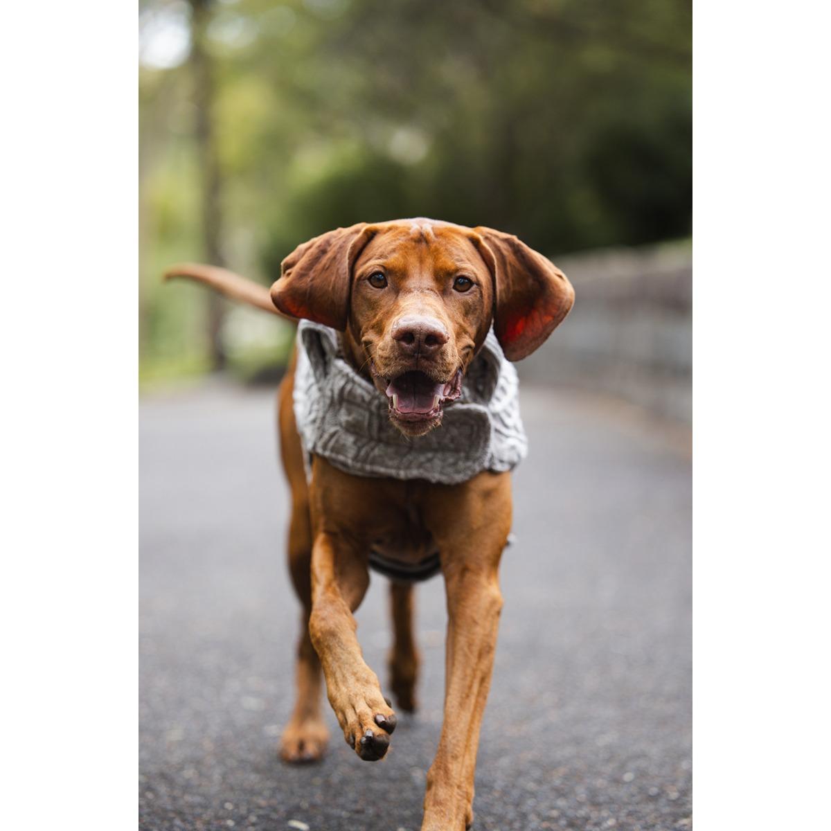 Ruff n Rugged The Woolly Dog Jumper Birch Marle