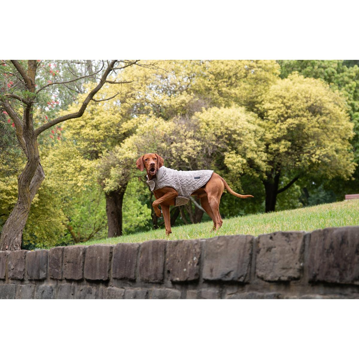 Ruff n Rugged The Woolly Dog Jumper Birch Marle