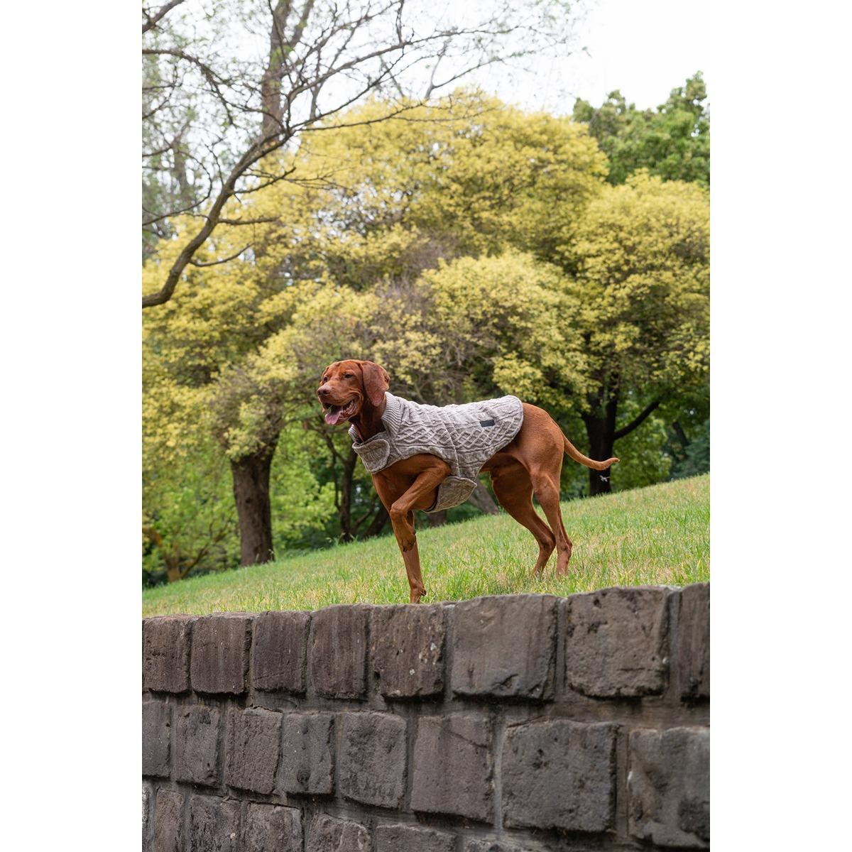Ruff n Rugged The Woolly Dog Jumper Birch Marle