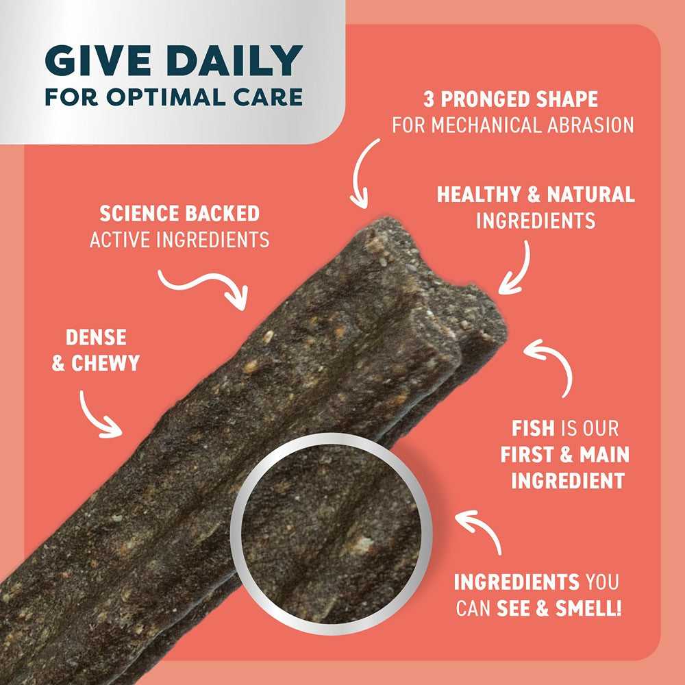 Bell & Bone Salmon Dental Stick 1pk