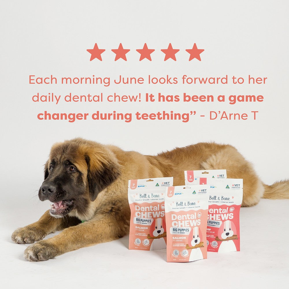 Bell & Bone Big Puppy Salmon Dental Chews 7pk