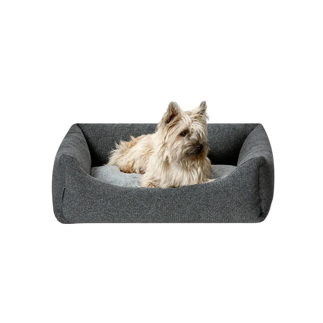 Snooza Low Front Lounger Dog Bed Grey