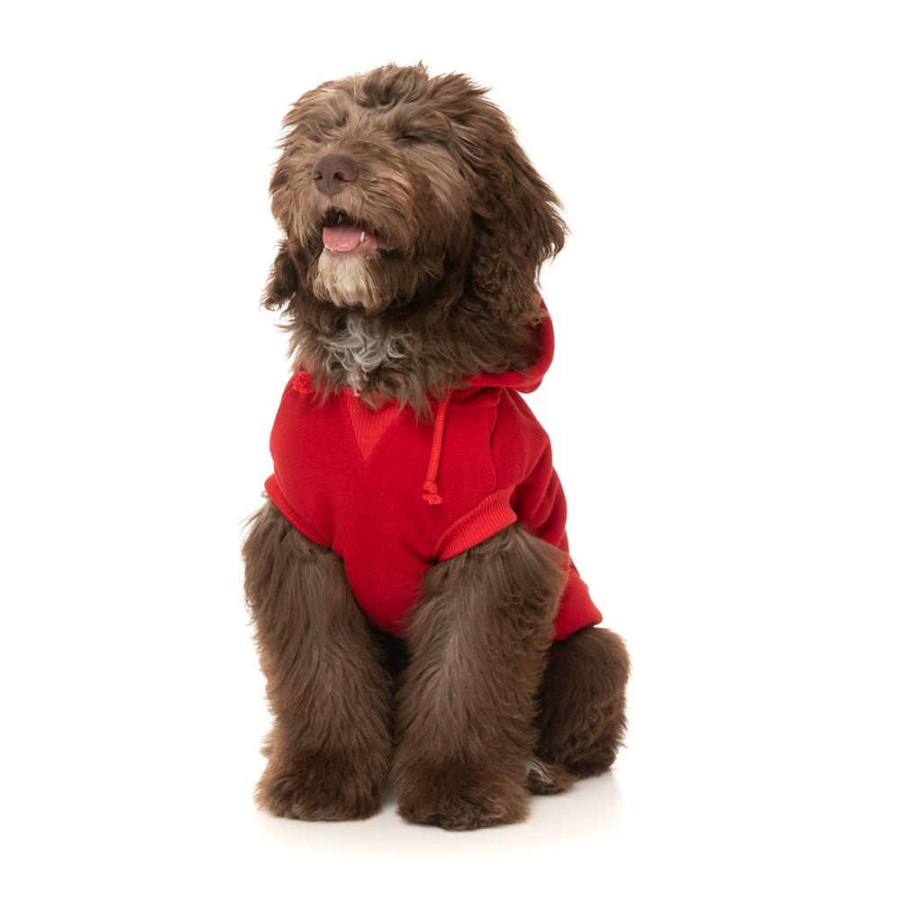 FuzzYard Zoomies Dog Hoodie