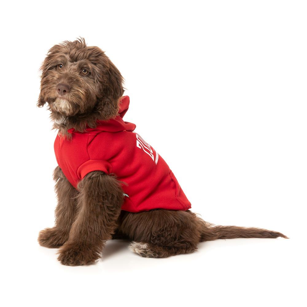 FuzzYard Zoomies Dog Hoodie