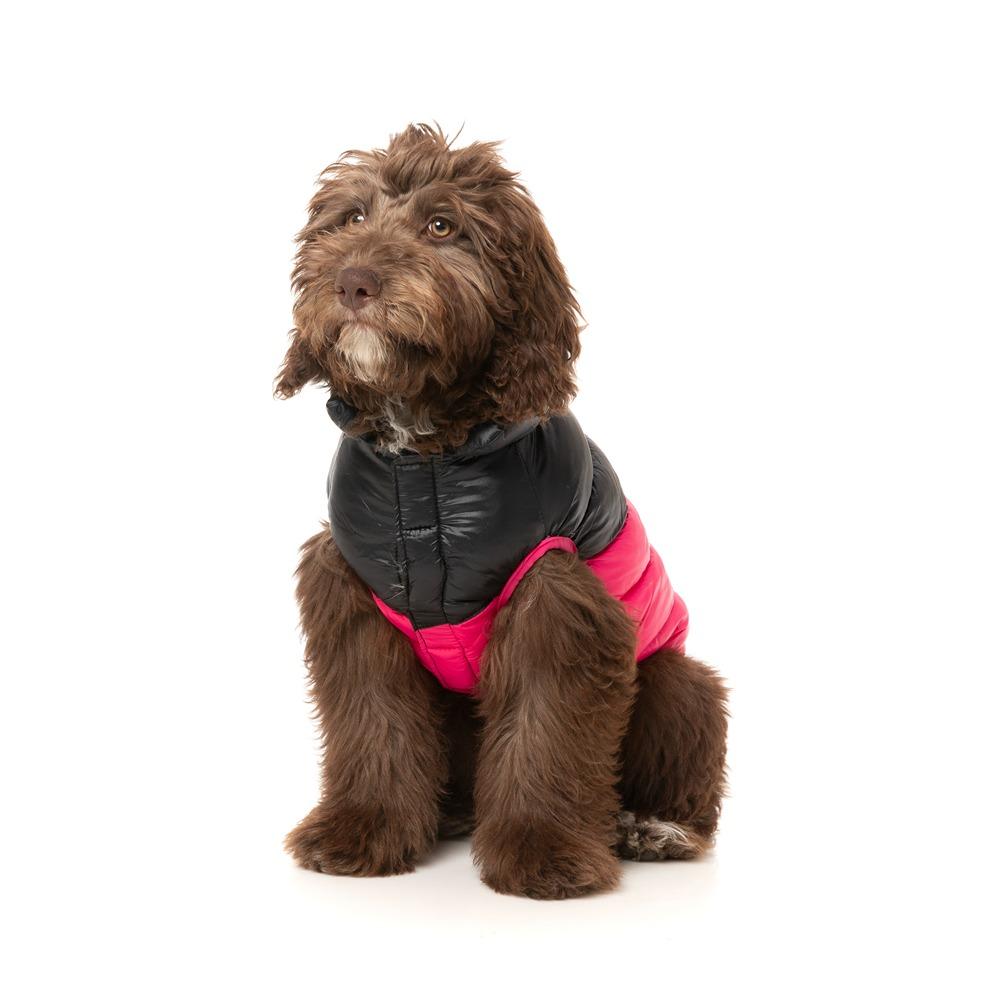 FuzzYard South Harlem Dog Jacket