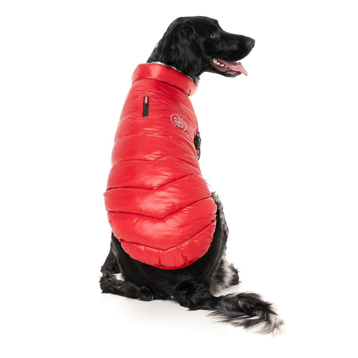 FuzzYard Hakuba Dog Jacket Red