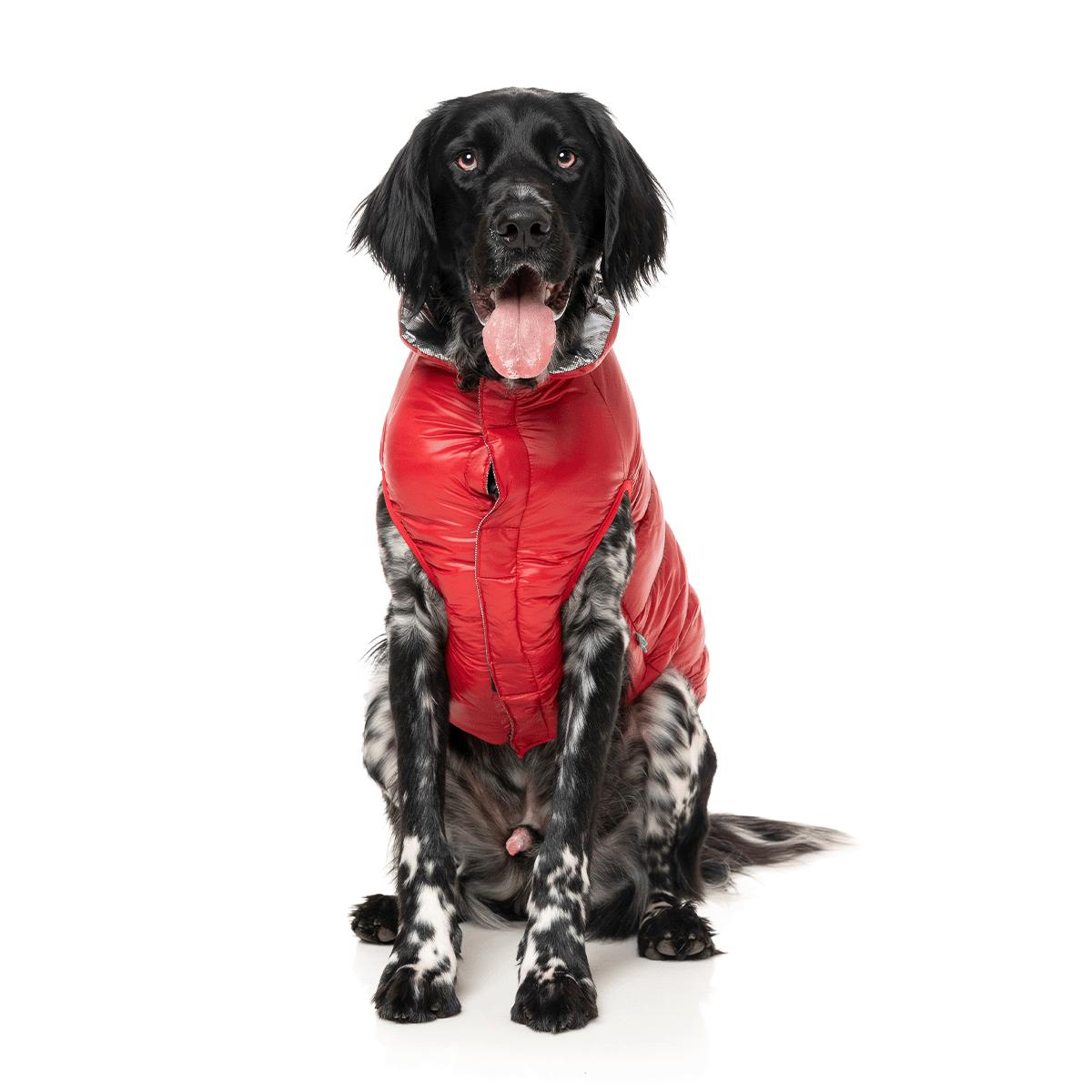 FuzzYard Hakuba Dog Jacket Red