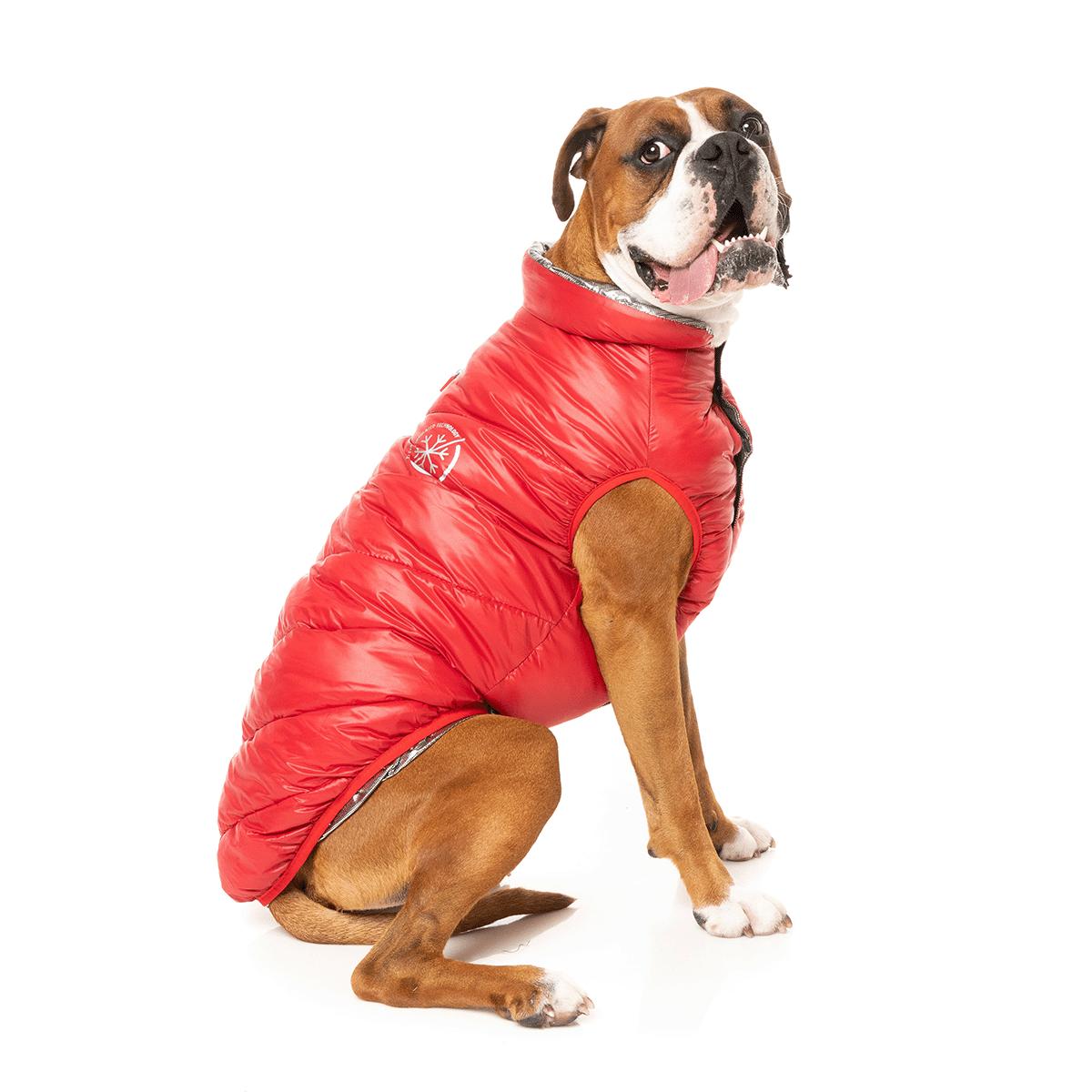 FuzzYard Hakuba Dog Jacket Red