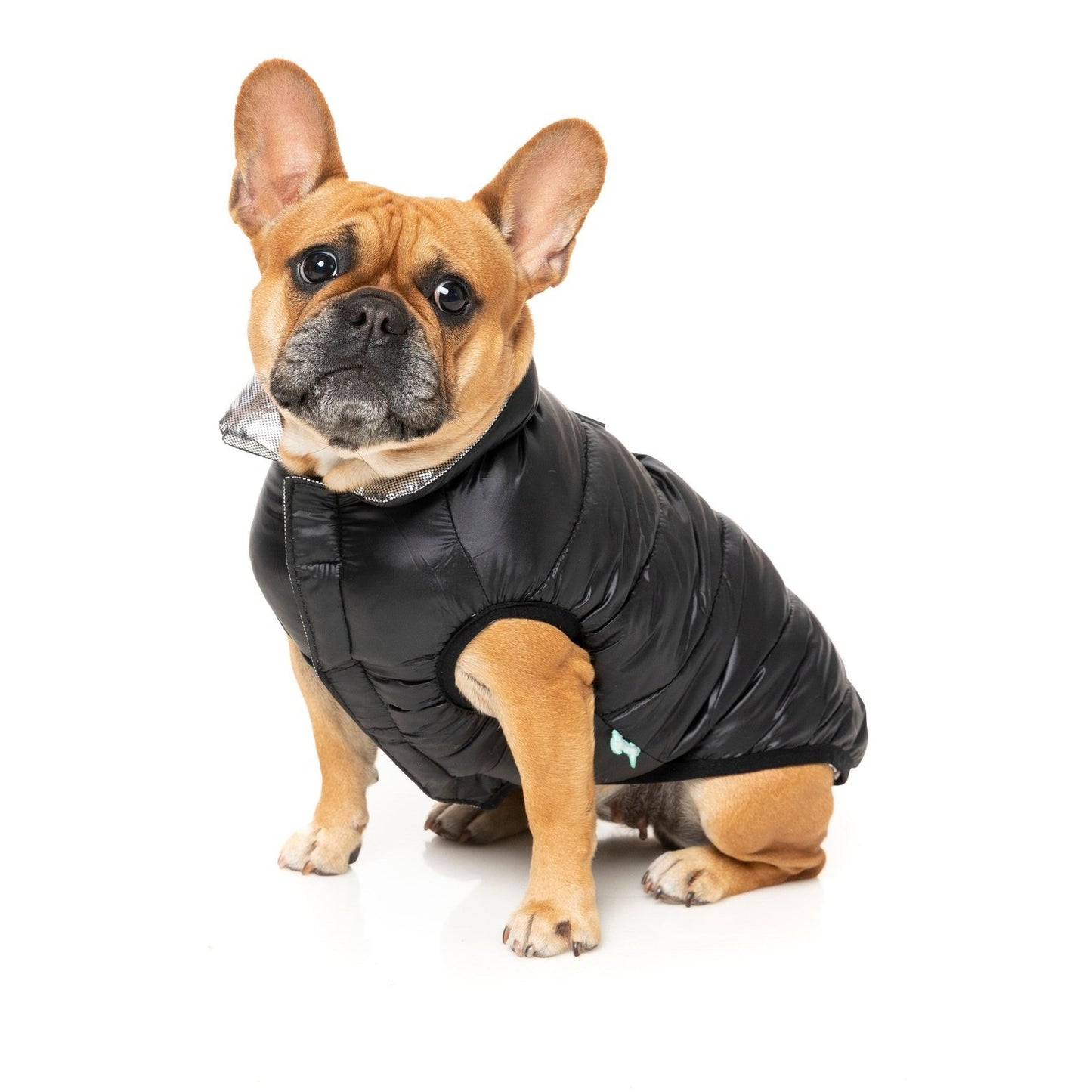 FuzzYard Hakuba Dog Jacket Black