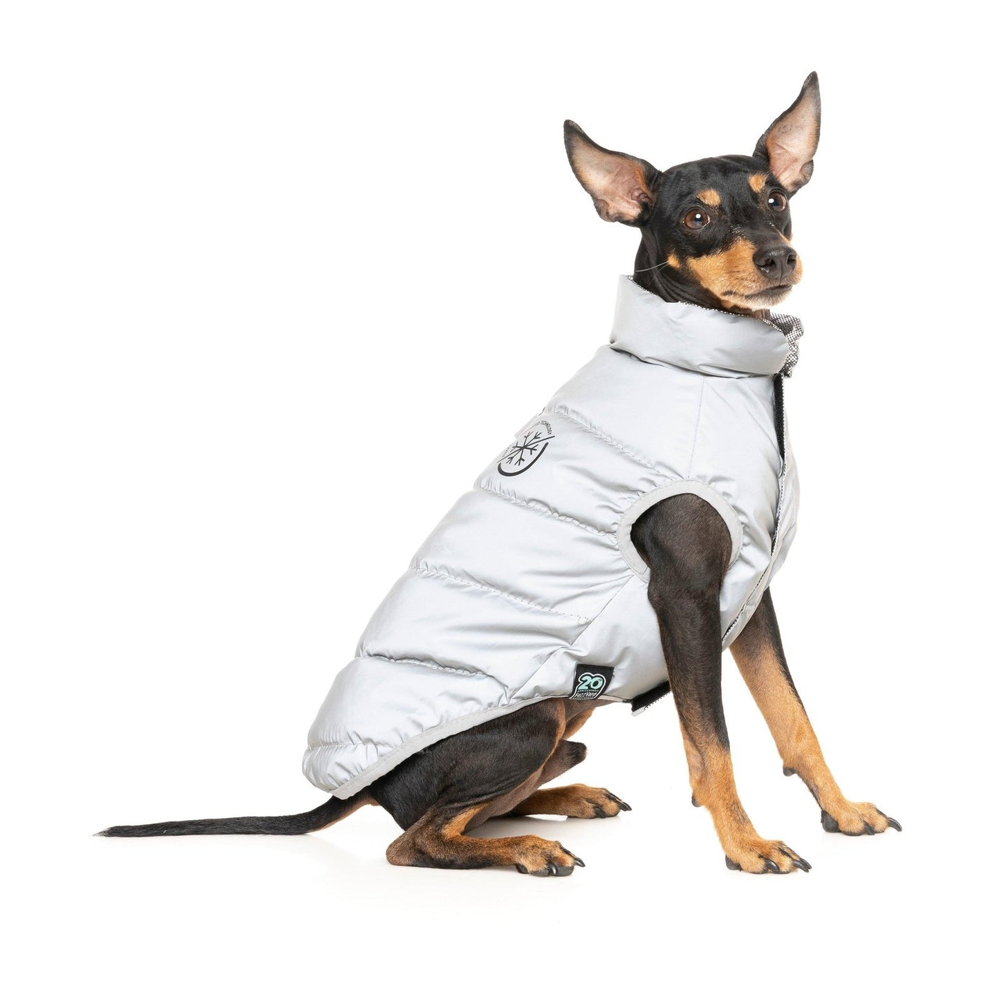 FuzzYard Hakuba Dog Jacket Reflective