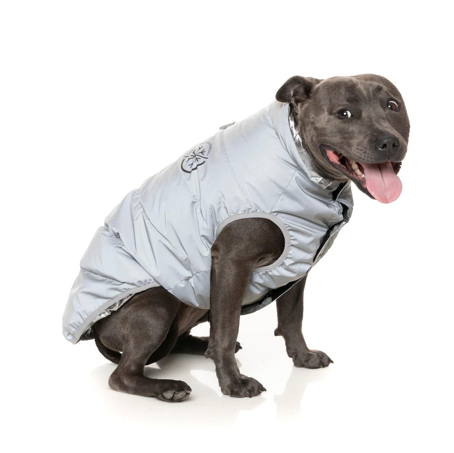 FuzzYard Hakuba Dog Jacket Reflective