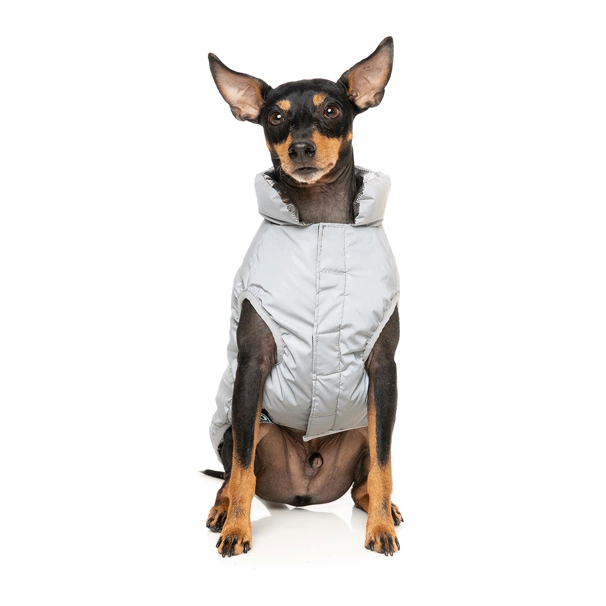 FuzzYard Hakuba Dog Jacket Reflective