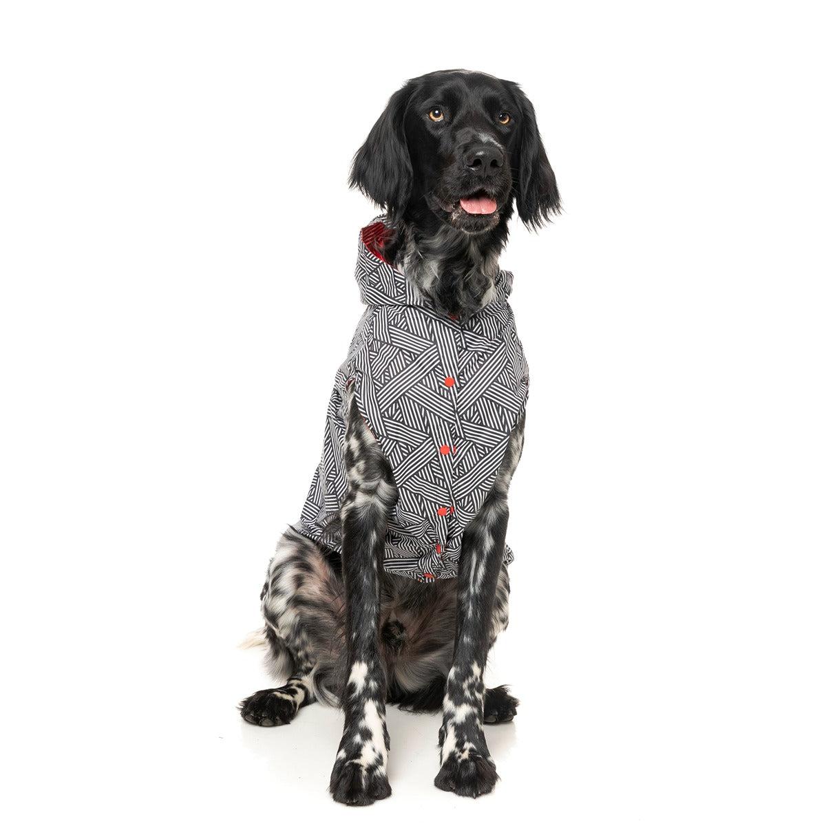 FuzzYard Flipside Dog Raincoat