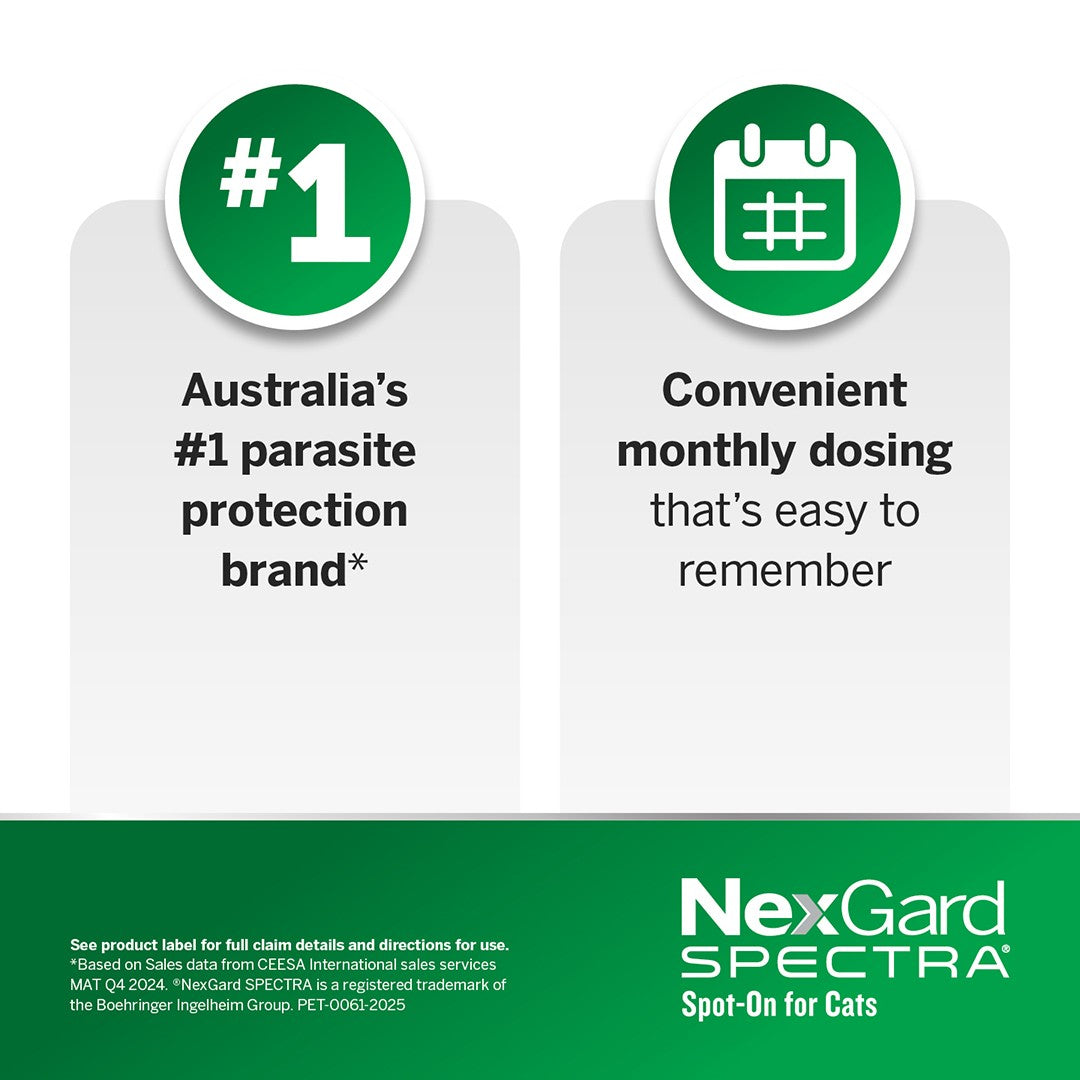 NexGard Spectra Spot-On for Cats & Kittens 0.8-2.4kg