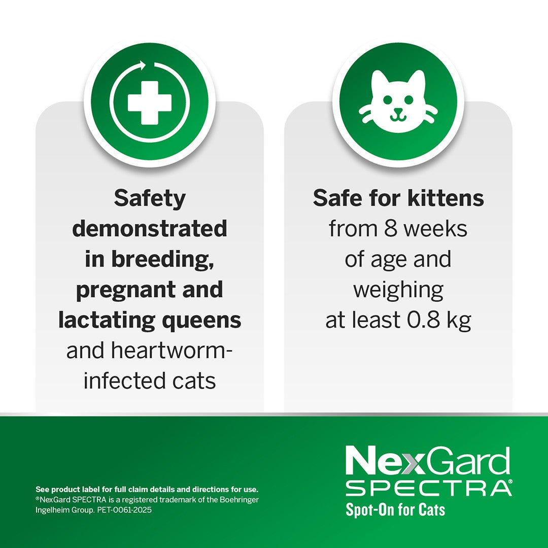 NexGard Spectra Spot-On for Cats & Kittens 0.8-2.4kg