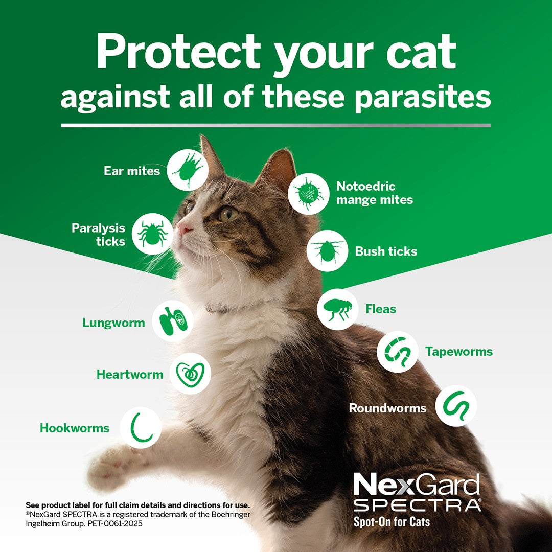 NexGard Spectra Spot-On for Cats 2.5-7.5 kg