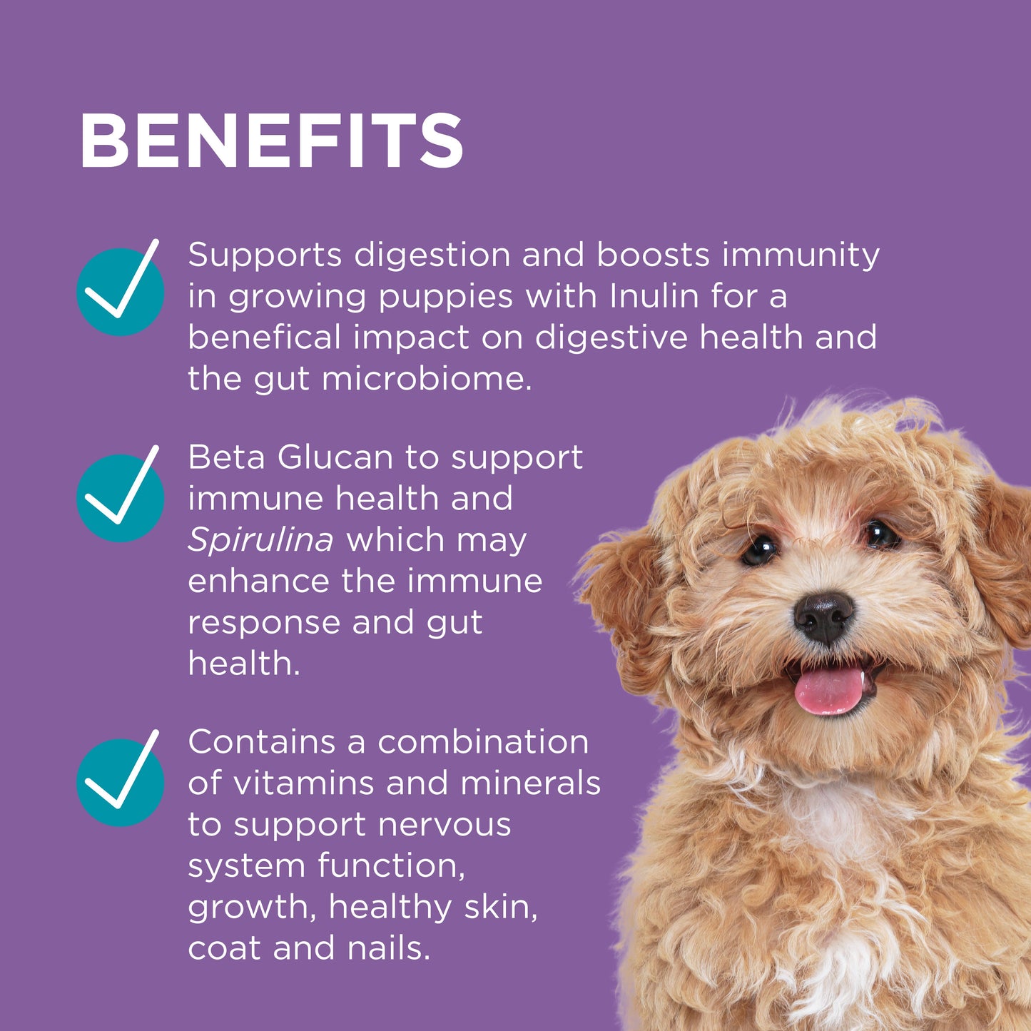 PAW Digest And Protect Puppy Care