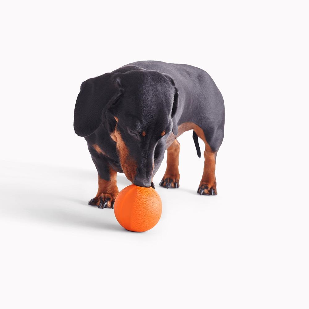 Beco Rubber Fetch Ball Dog Toy