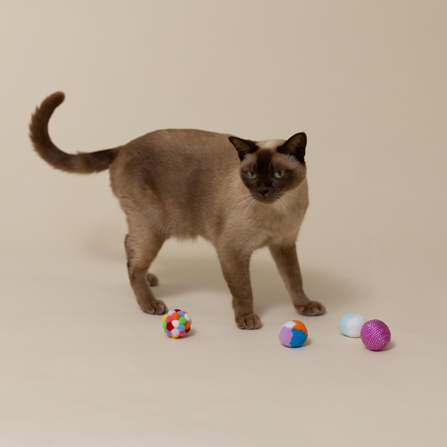 Lexi & Me Cat Toy Balls 4 Pack