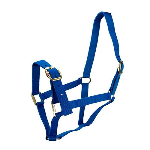 Bainbridge Horse Halter