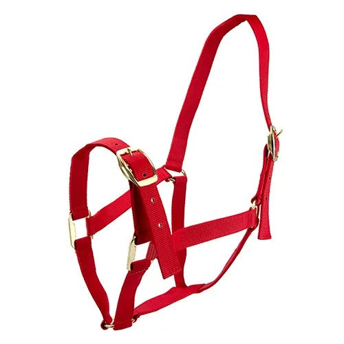 Bainbridge Horse Halter