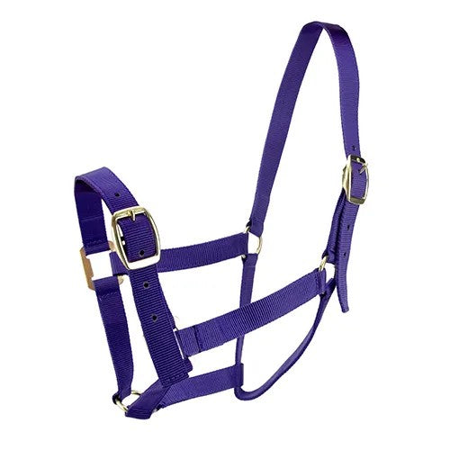 Bainbridge Horse Halter