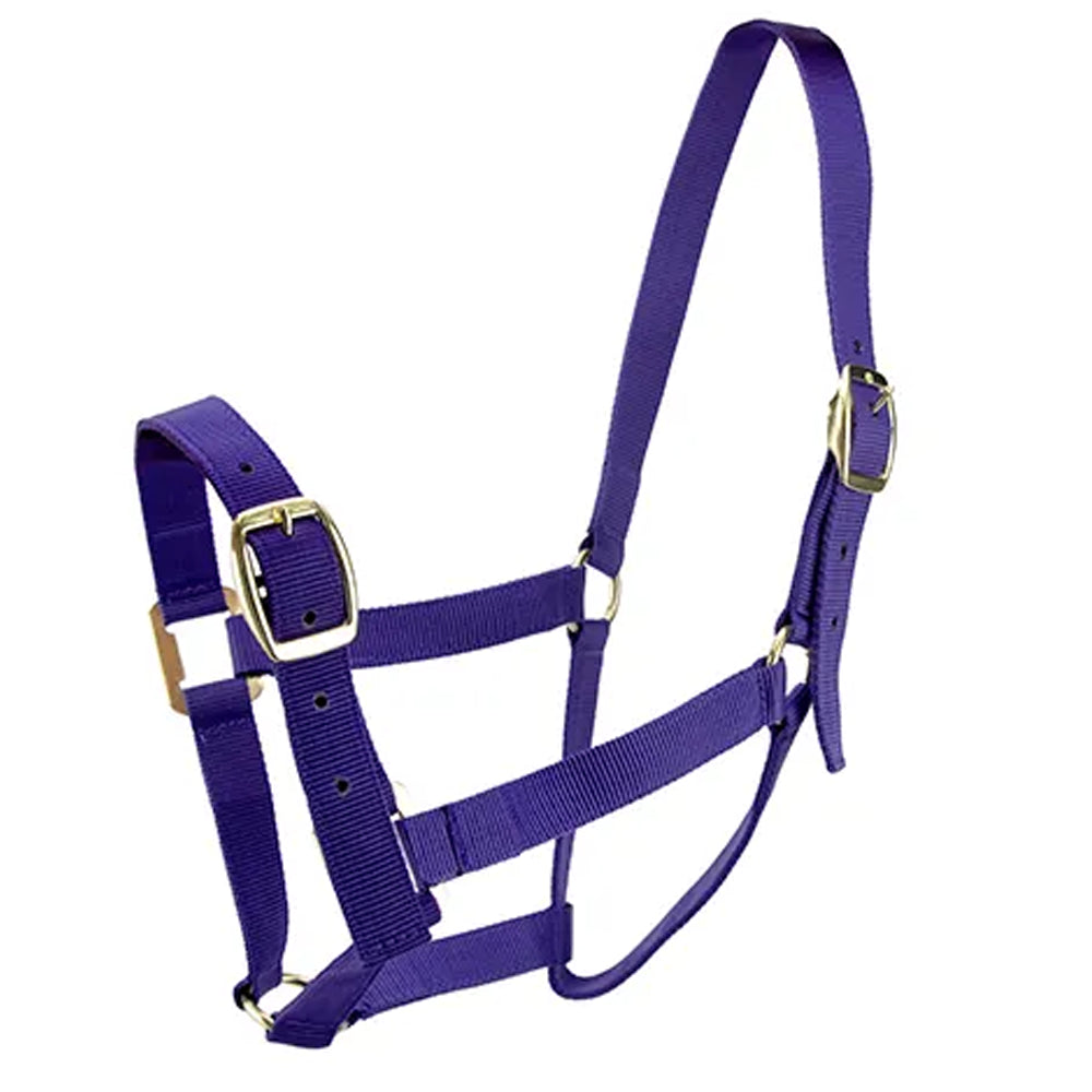 Bainbridge Horse Halter