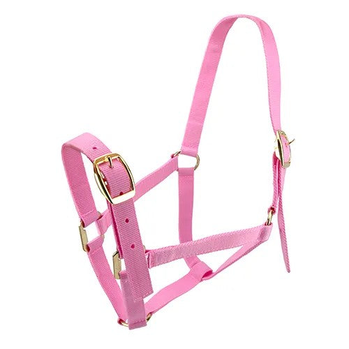 Bainbridge Horse Halter