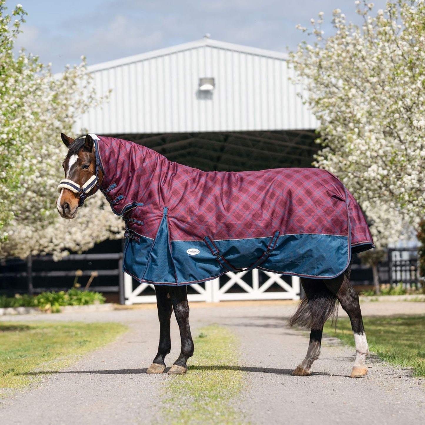 Caribu Alpine Combo Horse Rug 300g Merlot Tartan