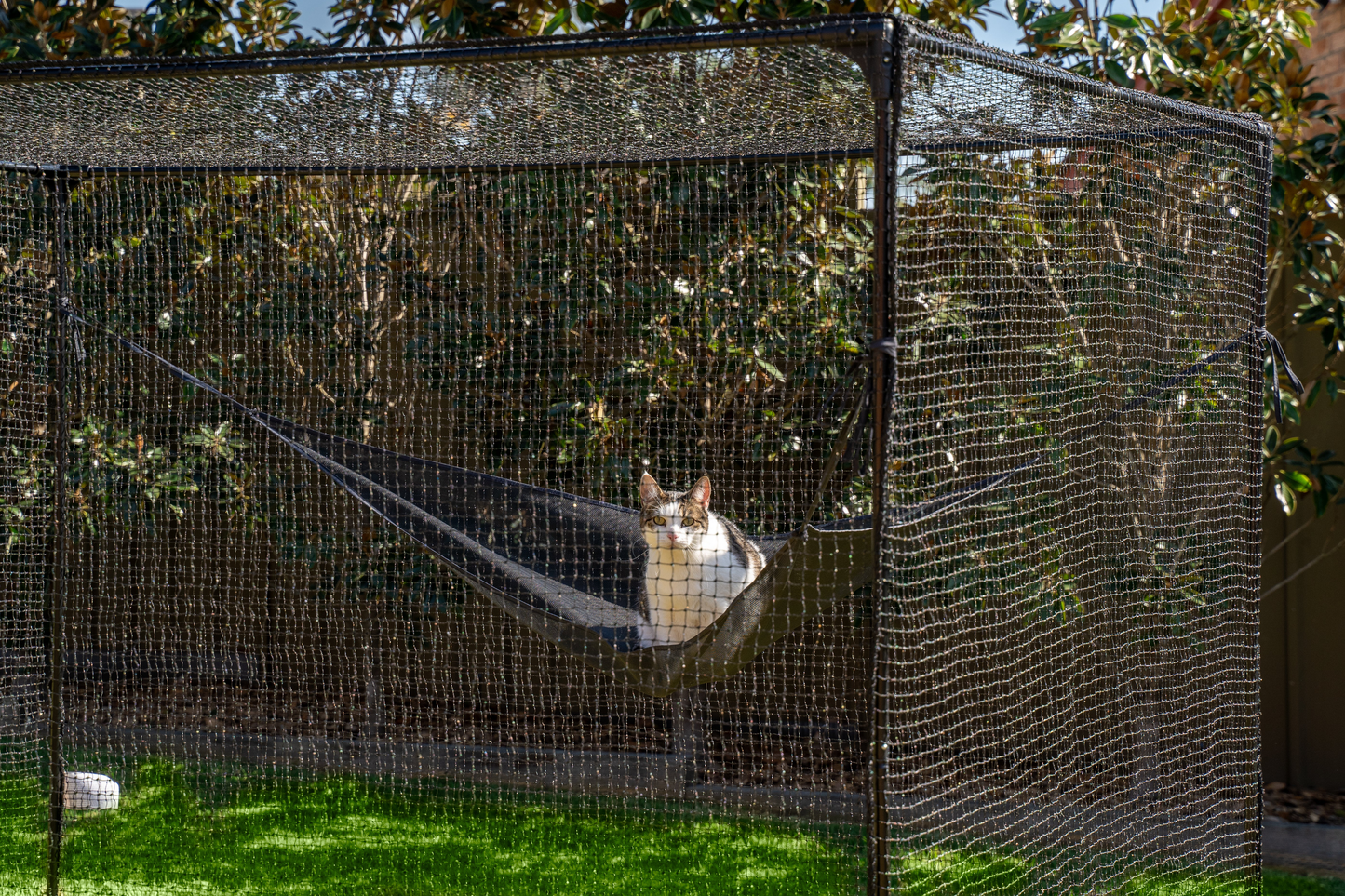 Catnets Peak Cat Enclosure