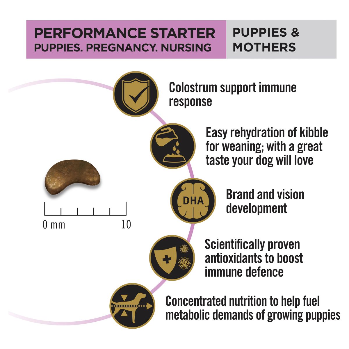 Pro Plan Performance Starter All Size Puppies & Mothers Chicken Formula Dry Dog Food