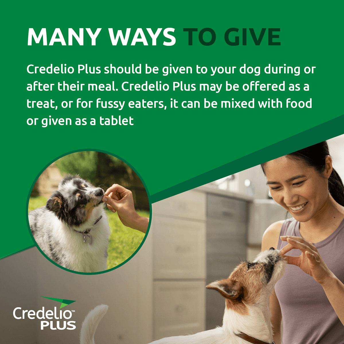 Credelio Plus Chewable Tablets For X-Large Dog 22-45kg