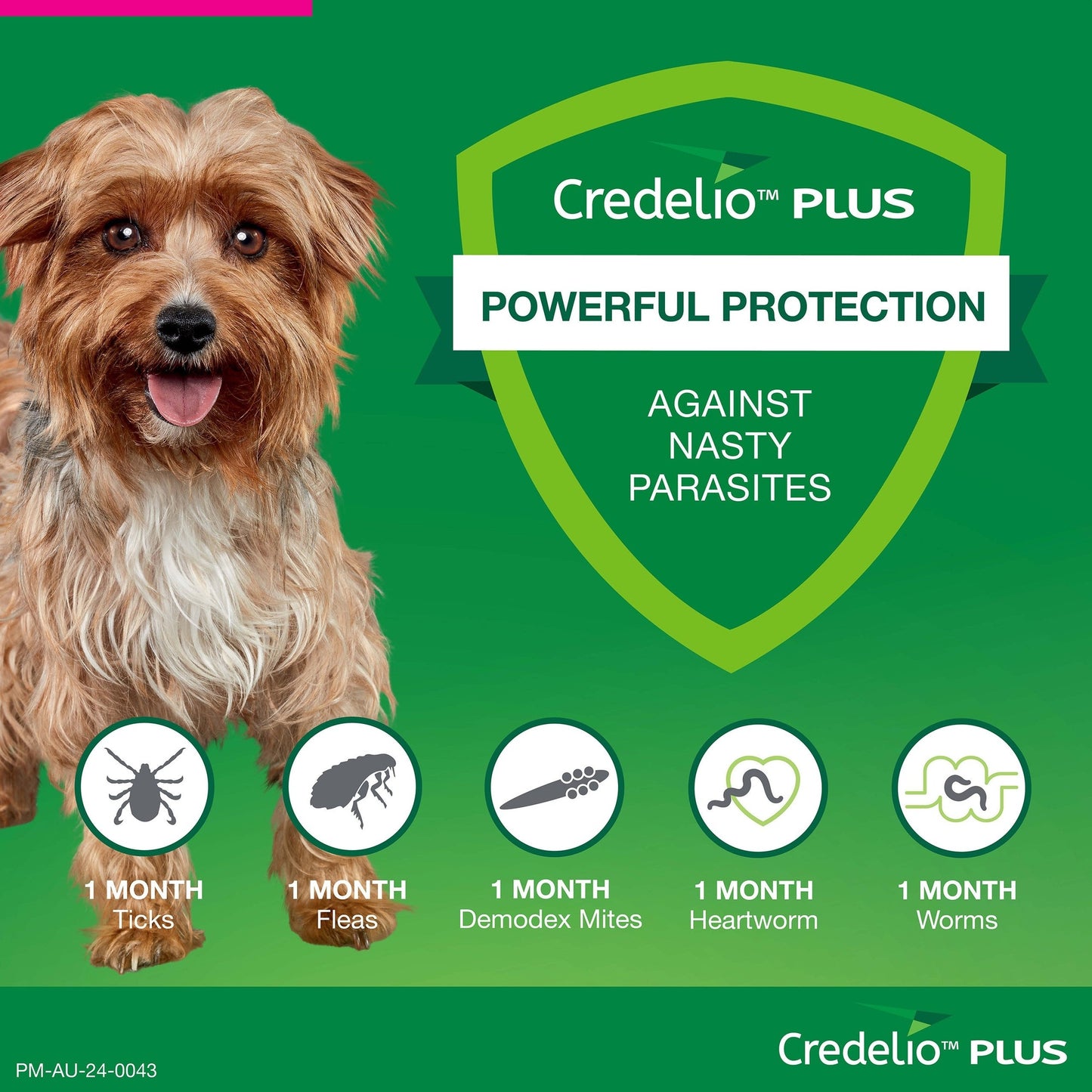 Credelio PLUS Chewable Tablets For Small Dogs 2.8-5.5kg